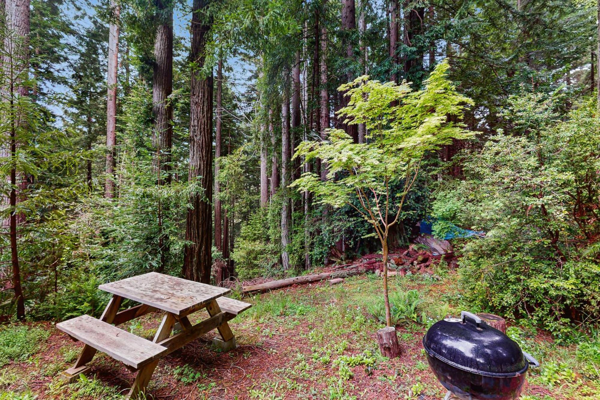 Serene Redwood Retreat Arcata Exterior foto